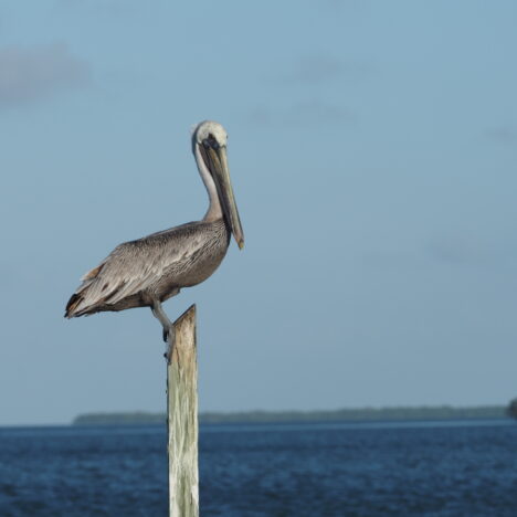 Mit dem Tesla Model Y durch Florida