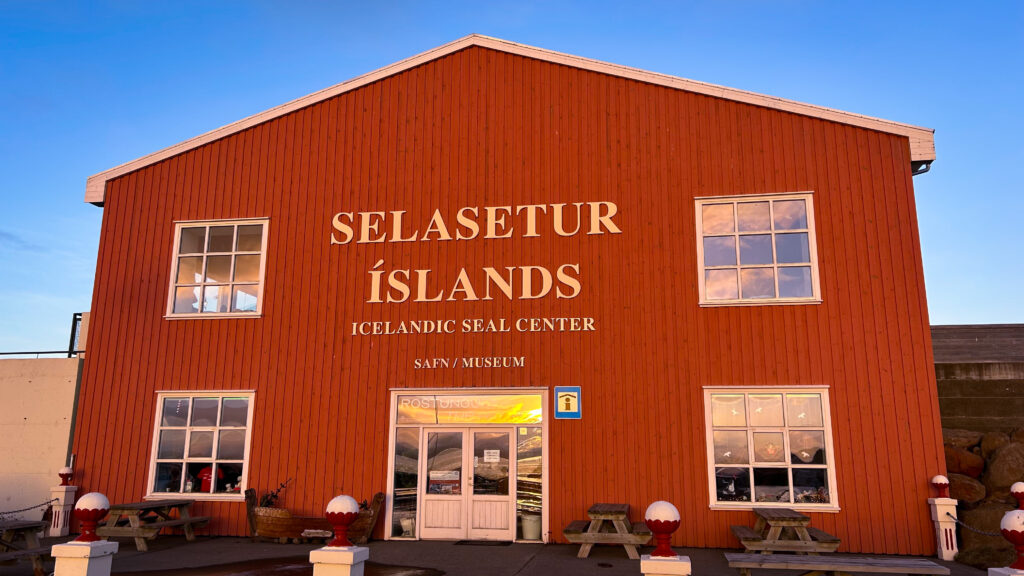 Das Icelandic Seal Center in Hvammstangi Island