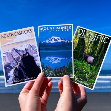 Nordlichter sehen und fotografieren