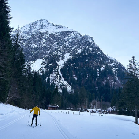 Madeira im Frühling