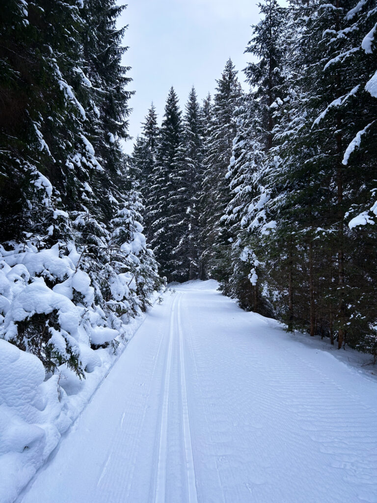 Langlaufen im Kleinwalsertal auf der Küren-Wäldele-Loipe
