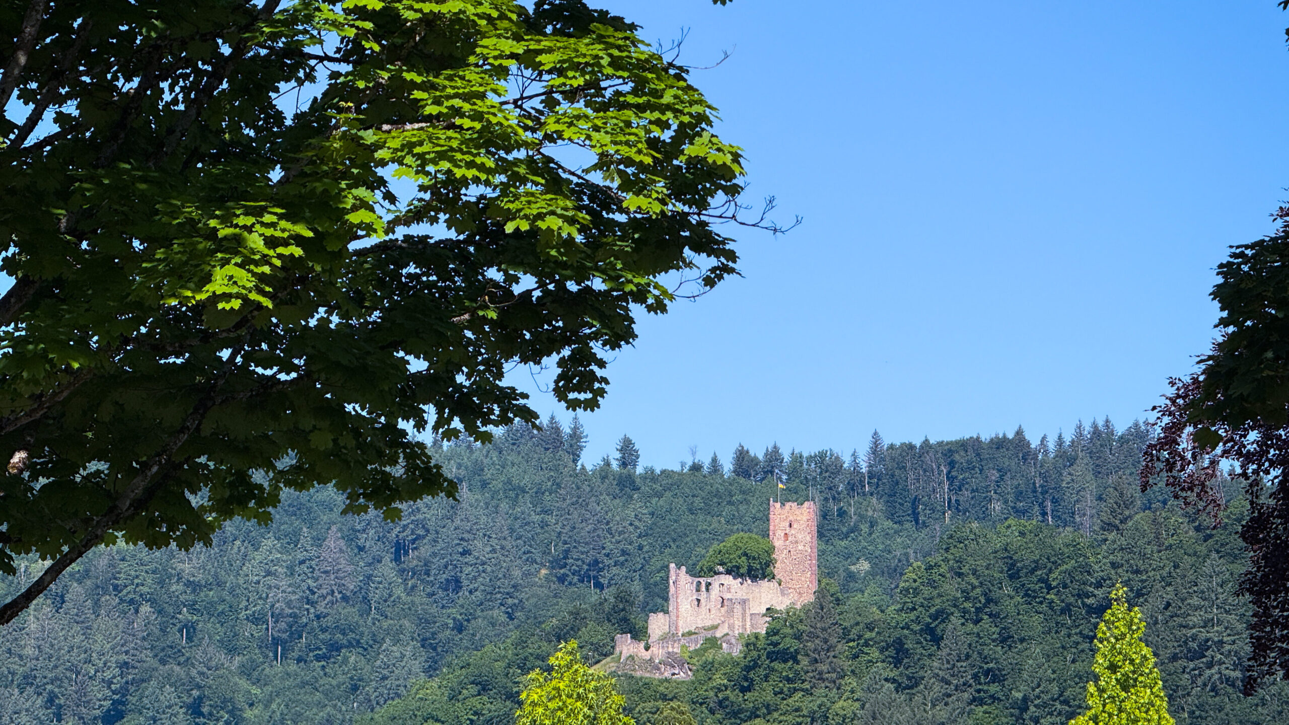 Blick auf die Kastelburg in Waldkirch