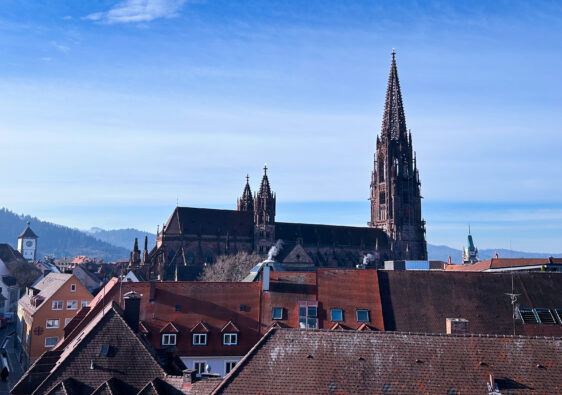 Blick über die Dächer der Altstadt in Freiburg mit der Münsterspitze, die hervorsteht