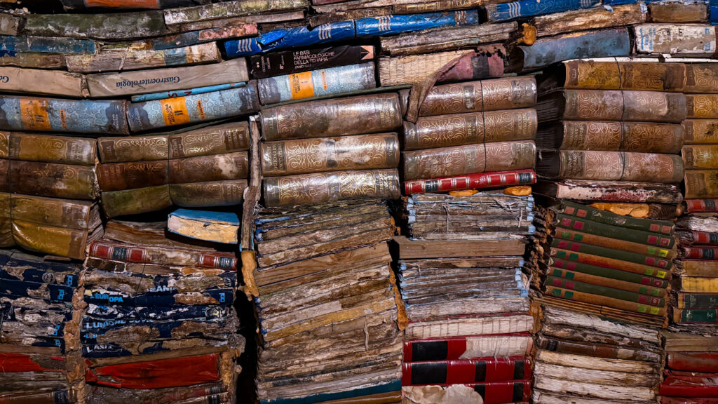 Getrocknete Bücher aus der Libreria Aqua Alta in Venedig.