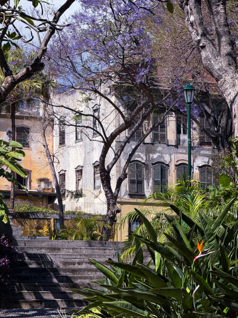 Jardim Municipal do Funchal