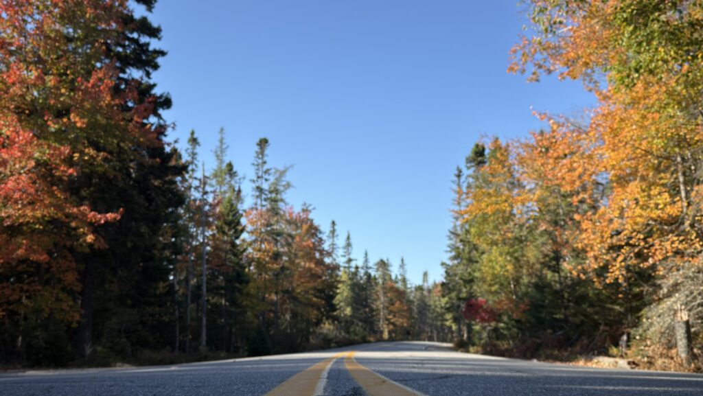Bunt gefärbte Laubbäume im Indian Summer