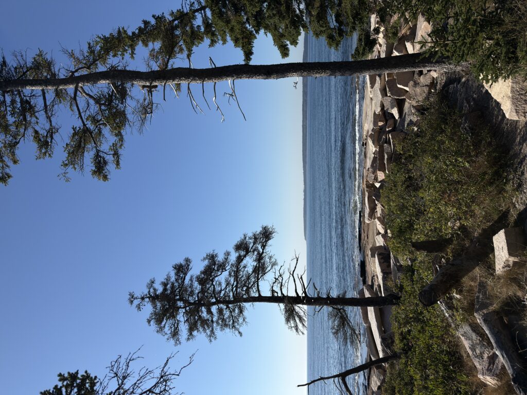 Blick auf den Atlantik, im Vordergrund Bäume und Steinfelsen.