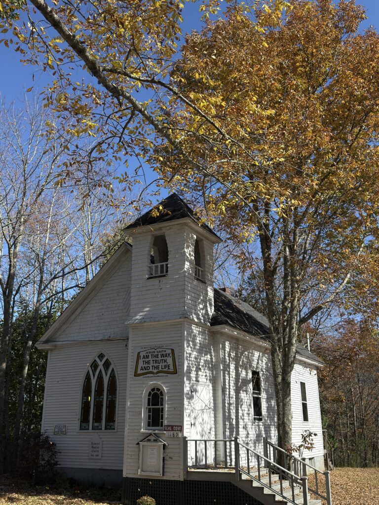 Weiße Kirche vor gelben Laubbäumen.