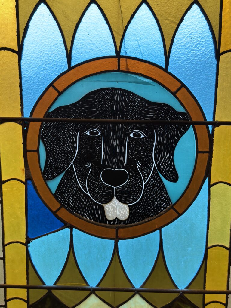 Hundegesicht auf Glasfenster