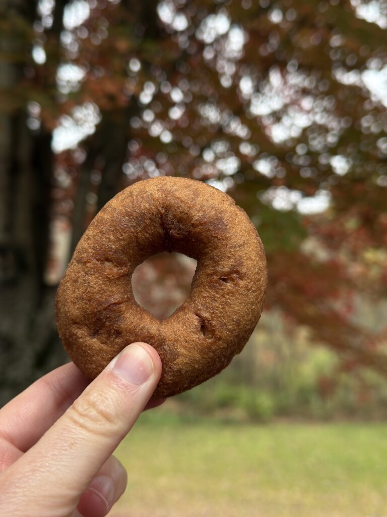 Apple Cider Donut vor bunten Bäumen 